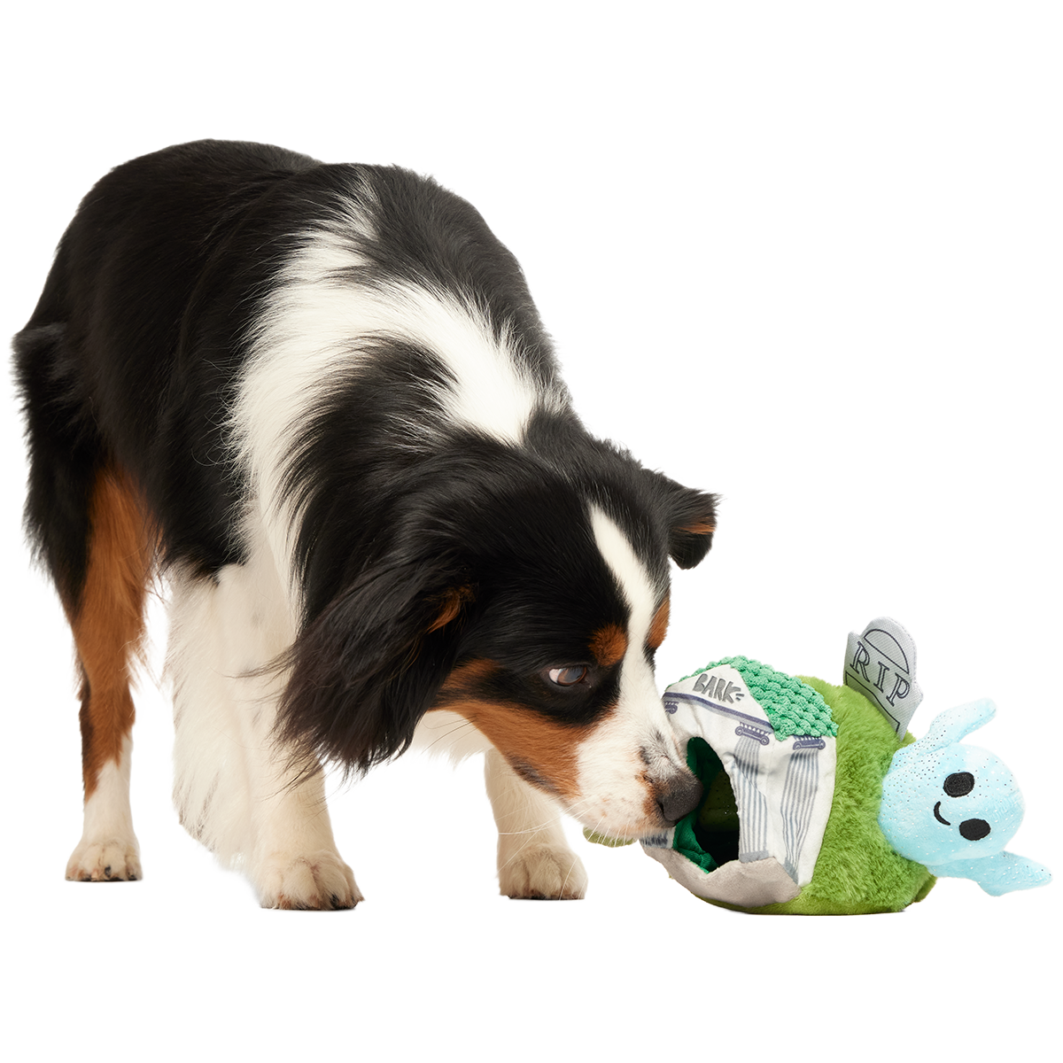 Now You See 'Em Mausoleum Plush Multi-Part + Enrichment Dog Toy