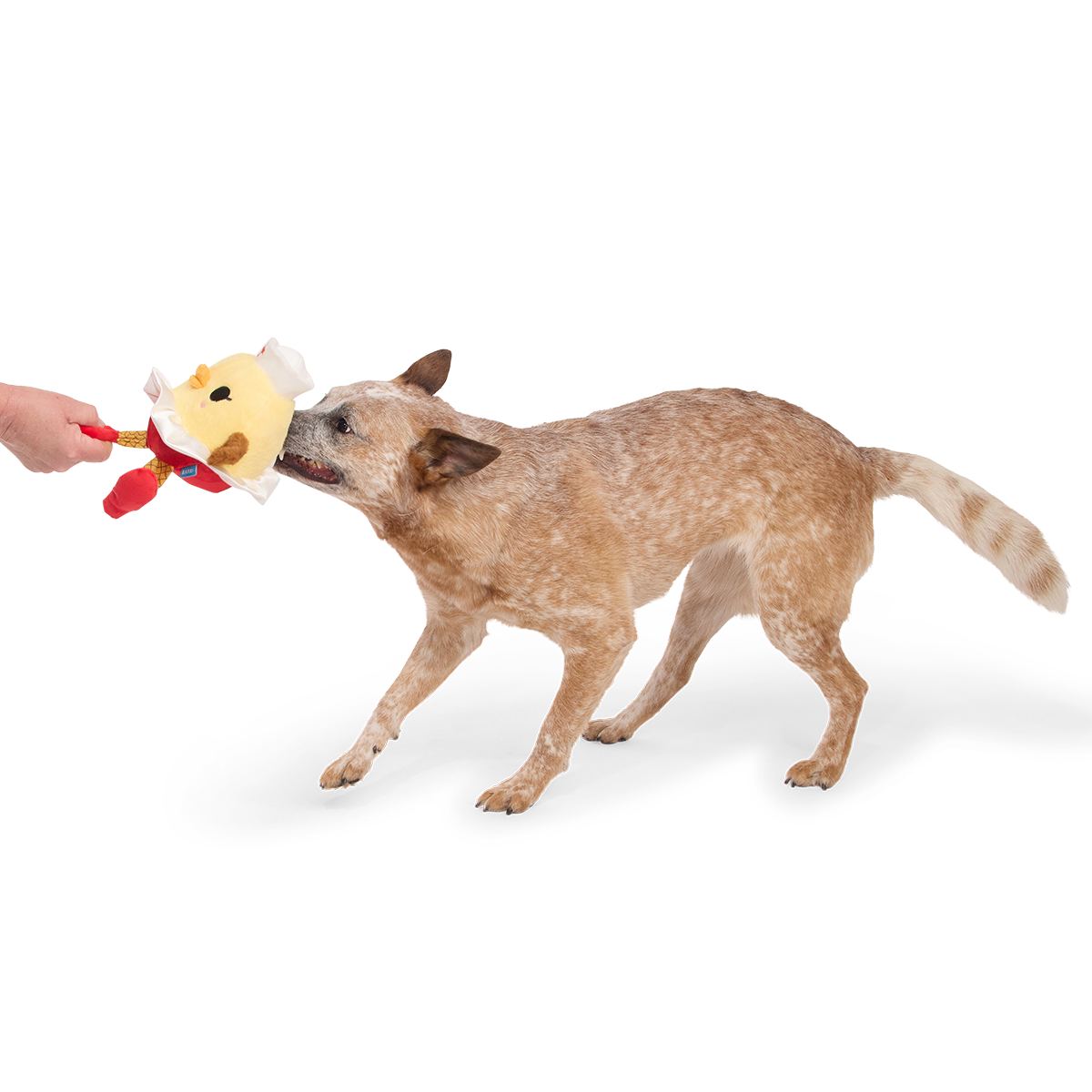 Nurse McSpicy Plush 2-in-1 + Tug Dog Toy
