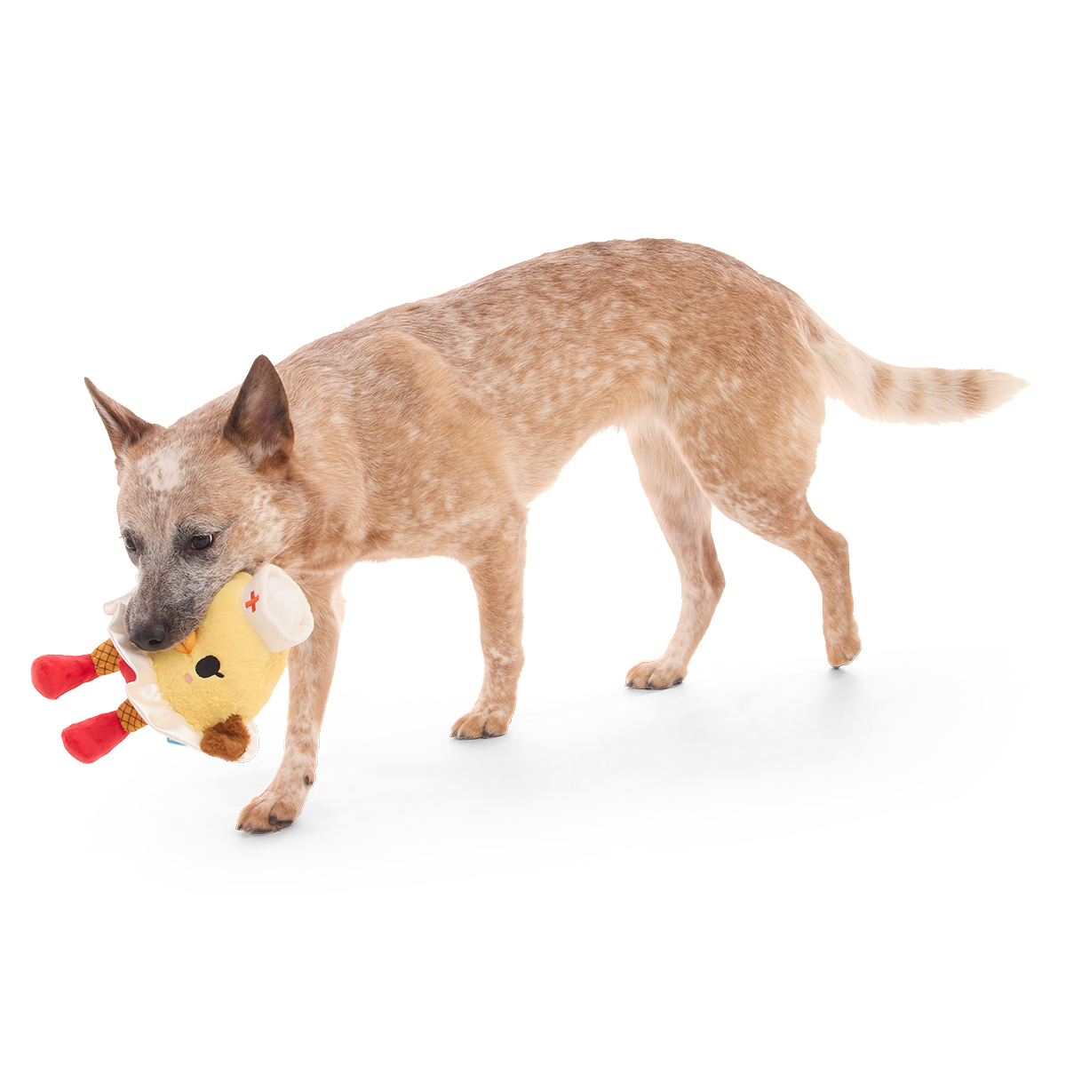 Nurse McSpicy Plush 2-in-1 + Tug Dog Toy