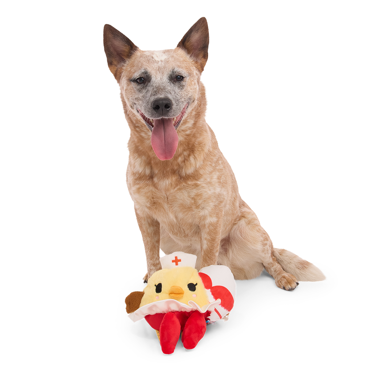 Nurse McSpicy Plush 2-in-1 + Tug Dog Toy