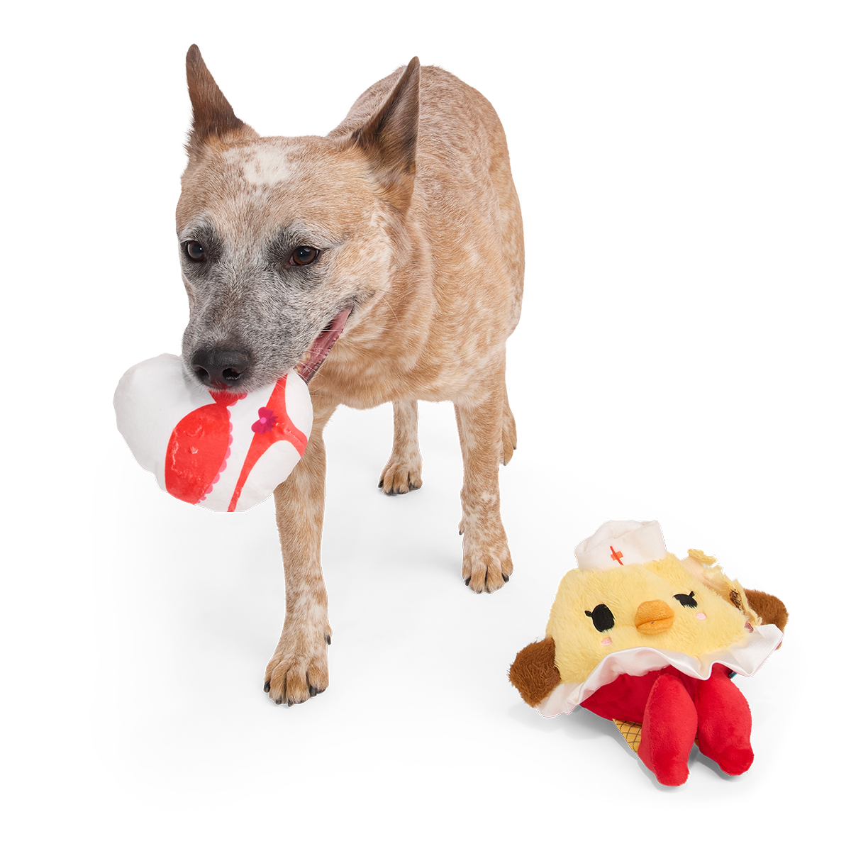 Nurse McSpicy Plush 2-in-1 + Tug Dog Toy