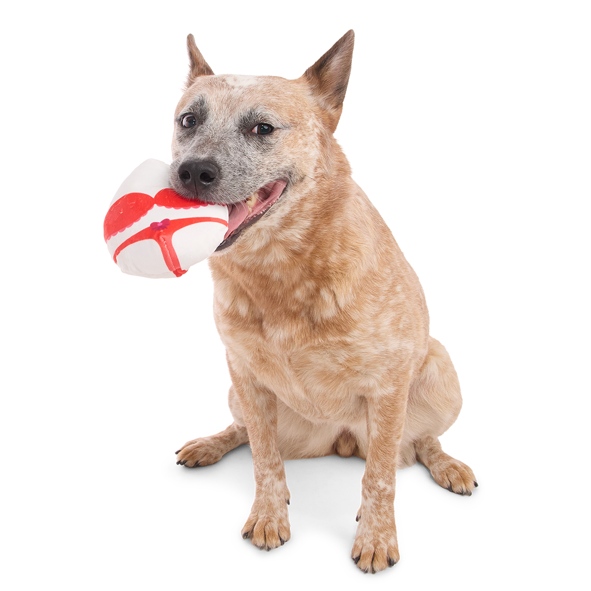 Nurse McSpicy Plush 2-in-1 + Tug Dog Toy