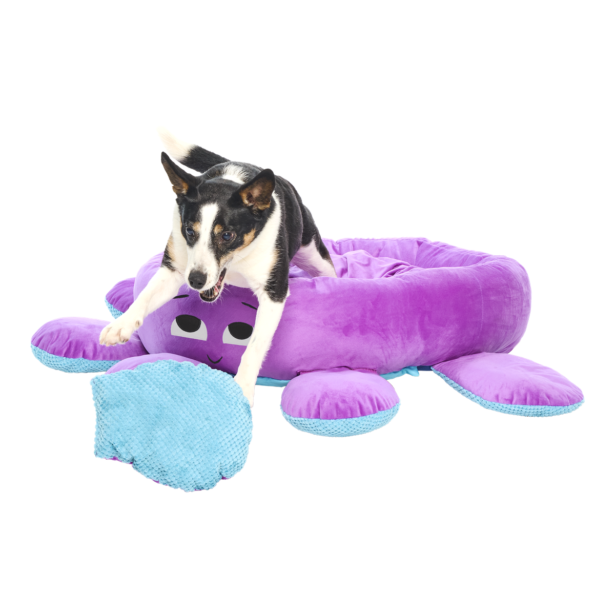 Ollie the Octopus Bed