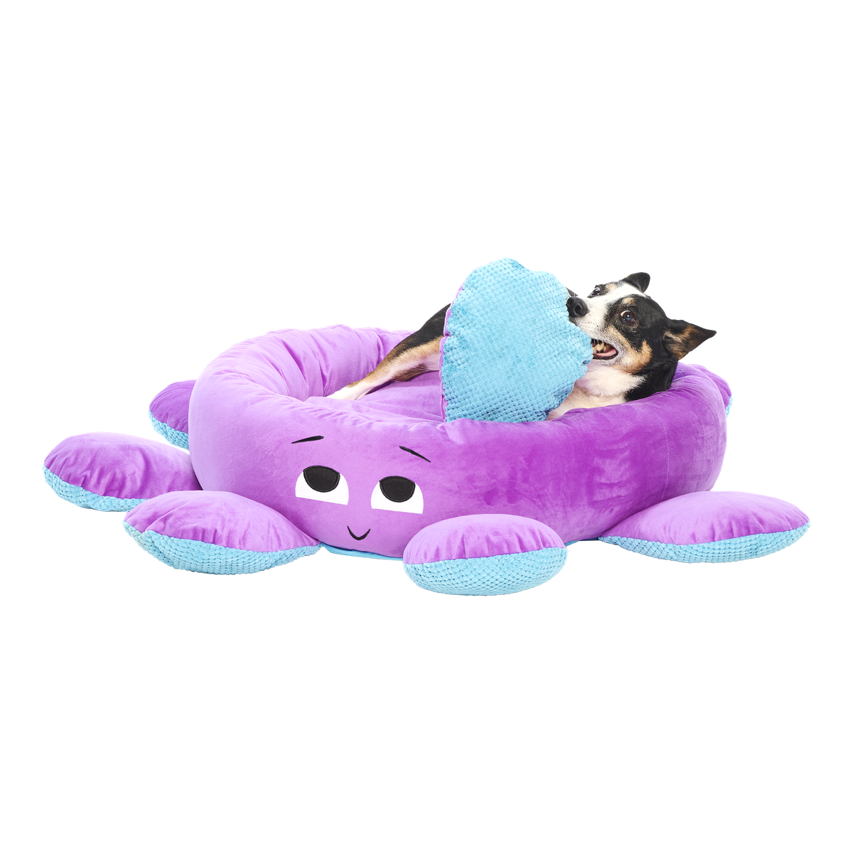 Ollie the Octopus Bed