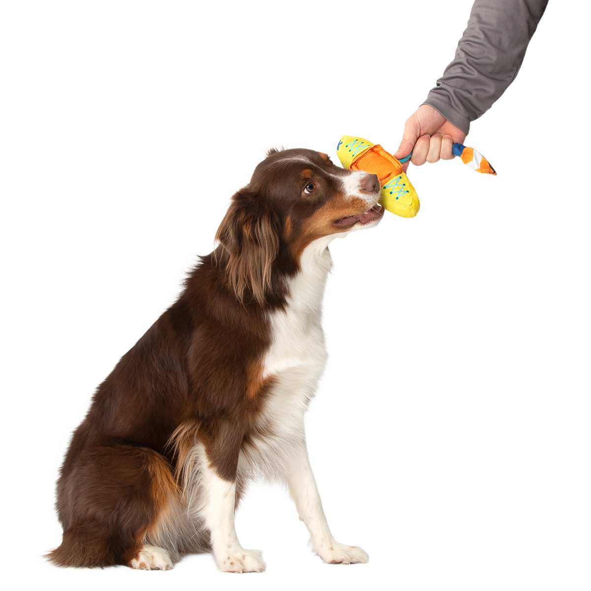 Off Track Kayak Plush Tug Dog Toy