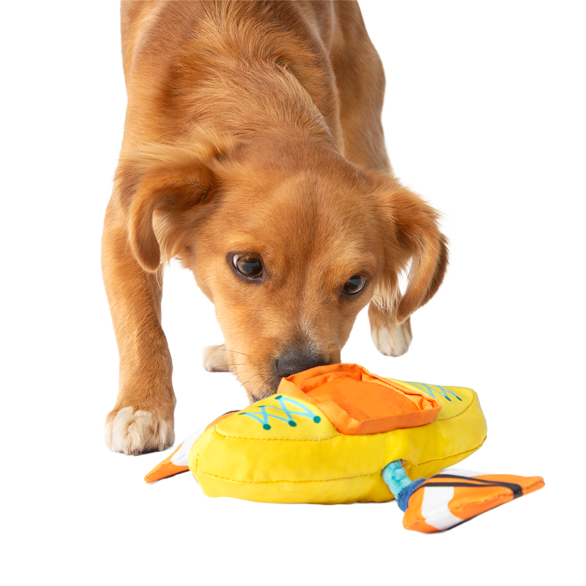 Off Track Kayak Plush Tug Dog Toy