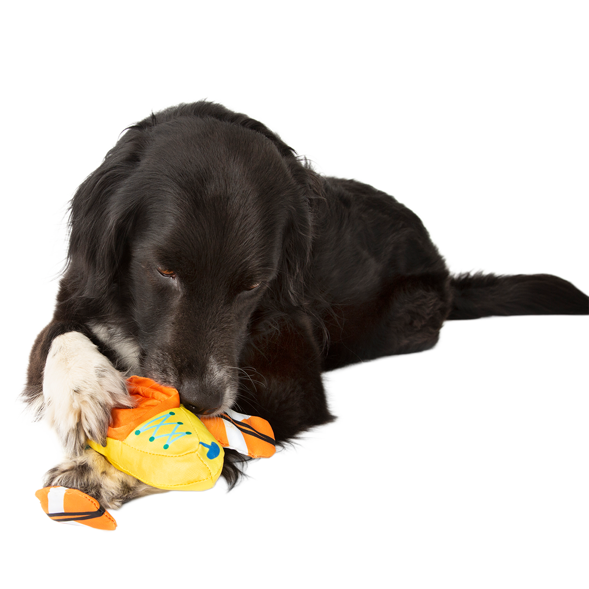 Off Track Kayak Plush Tug Dog Toy