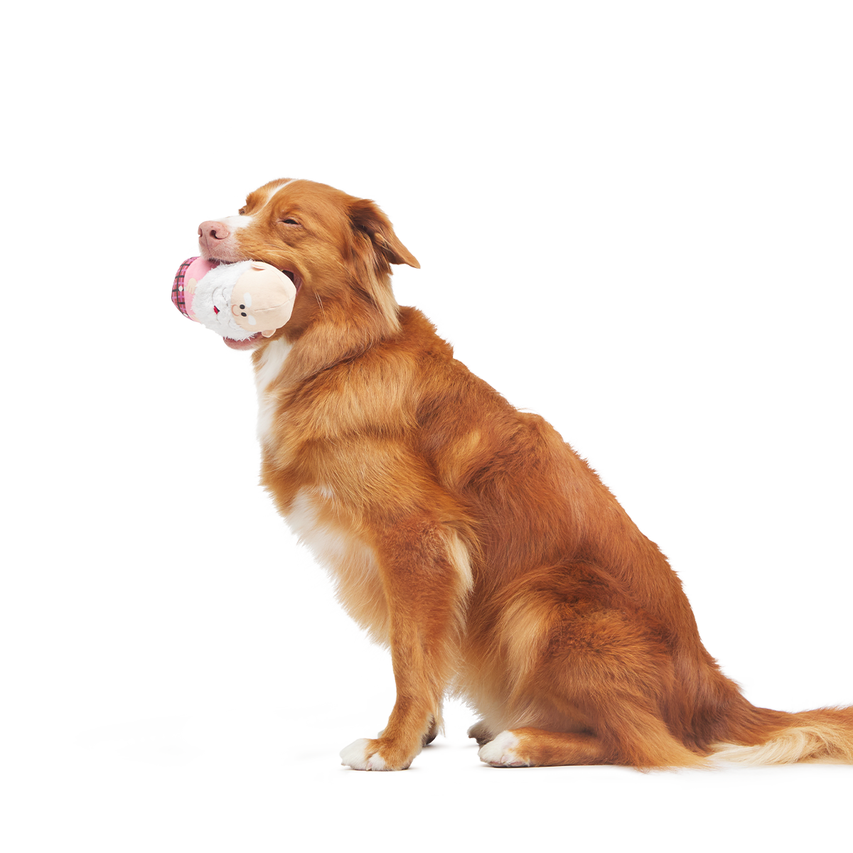 Ol' Kris Kringle™ Plush Multi-Part + Enrichment Dog Toy