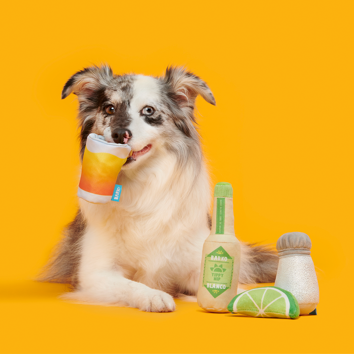 One Tugquila, Chew Tugquila Plush Multi-Part Dog Toy