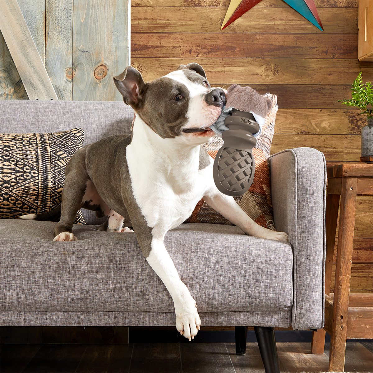 P.B. Beaver Super Chewer Durable 2-in-1 + Enrichment Dog Toy