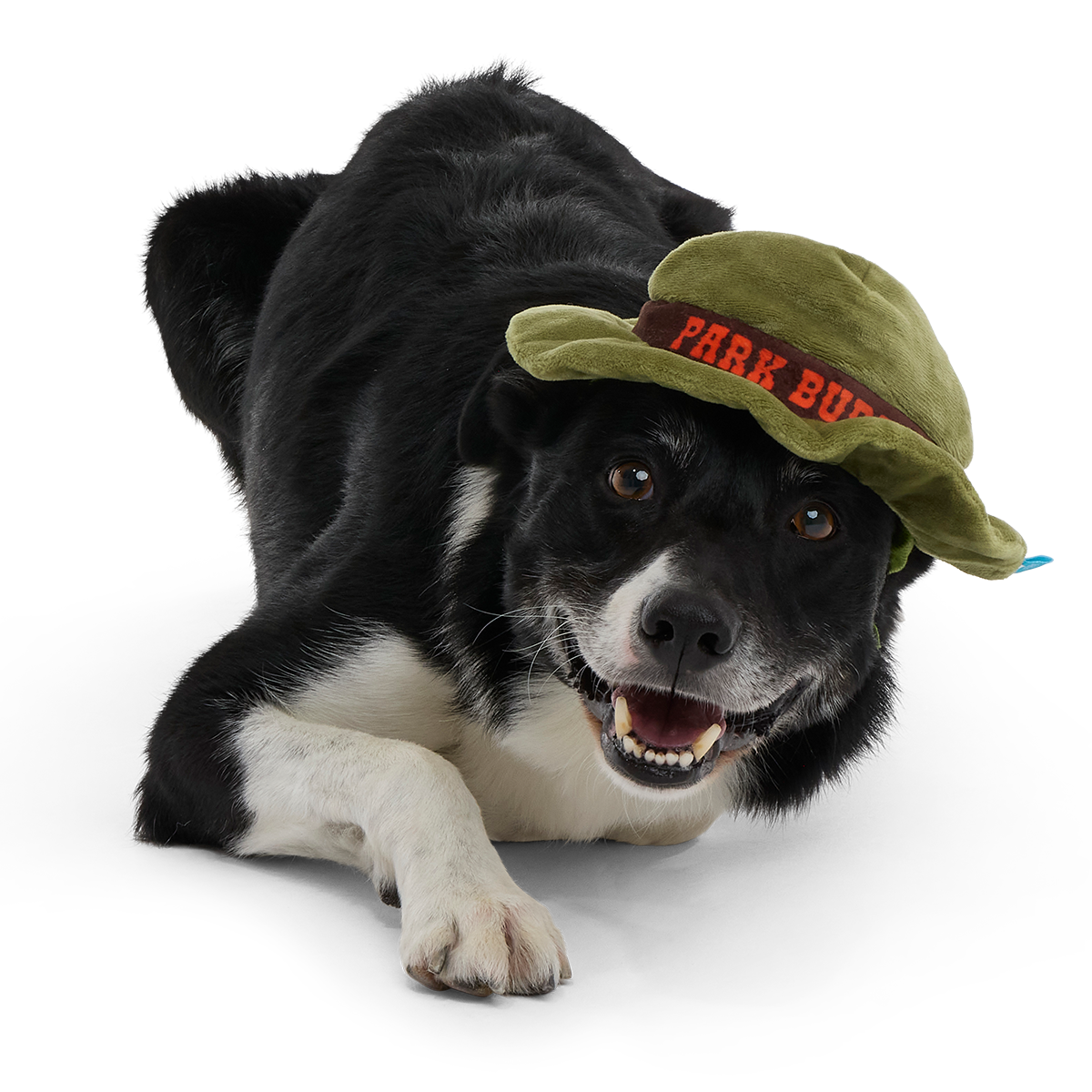 Park Buddy Hat Plush Wearable Dog Toy