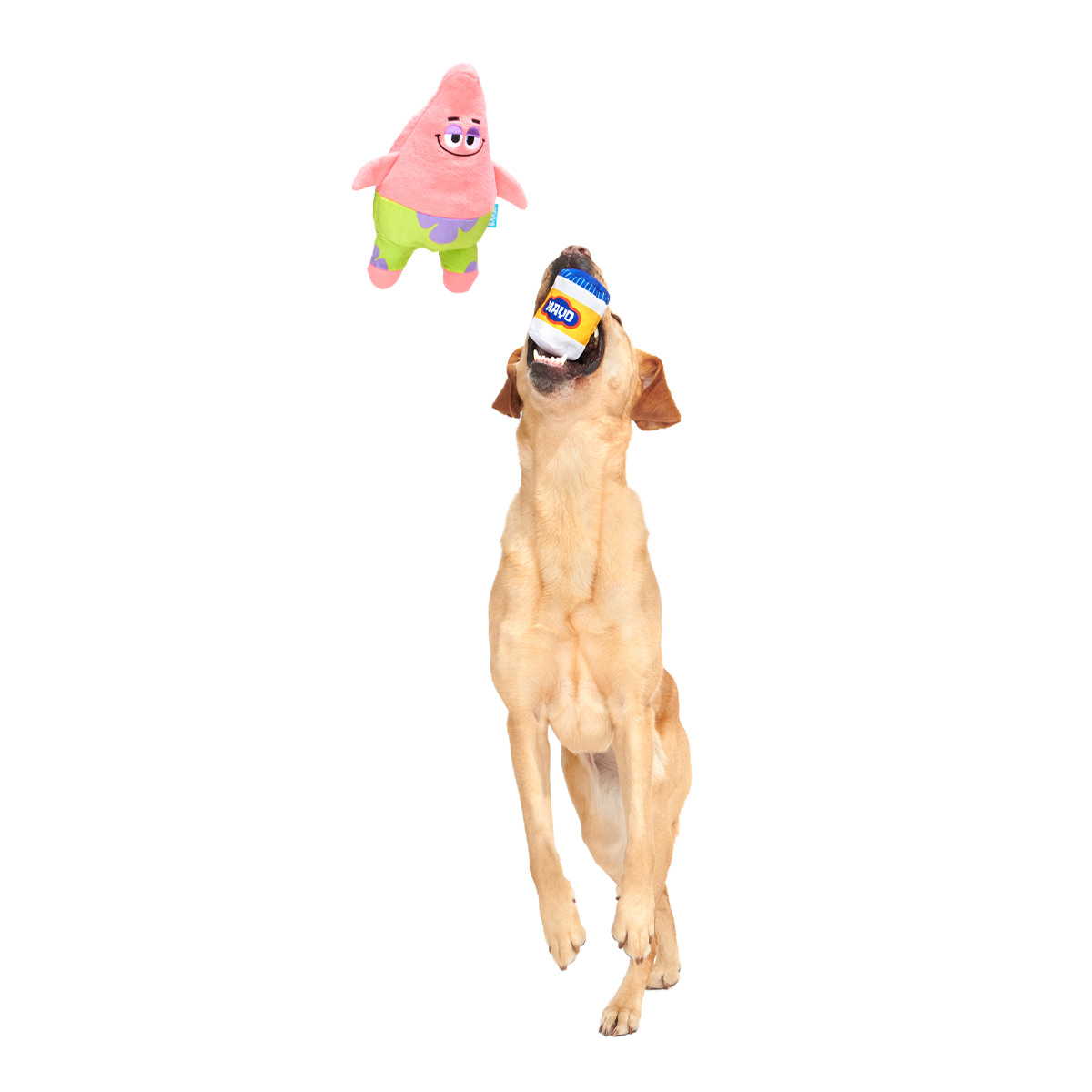 Patrick’s Squeakret Talent Plush 2-in-1 Dog Toy