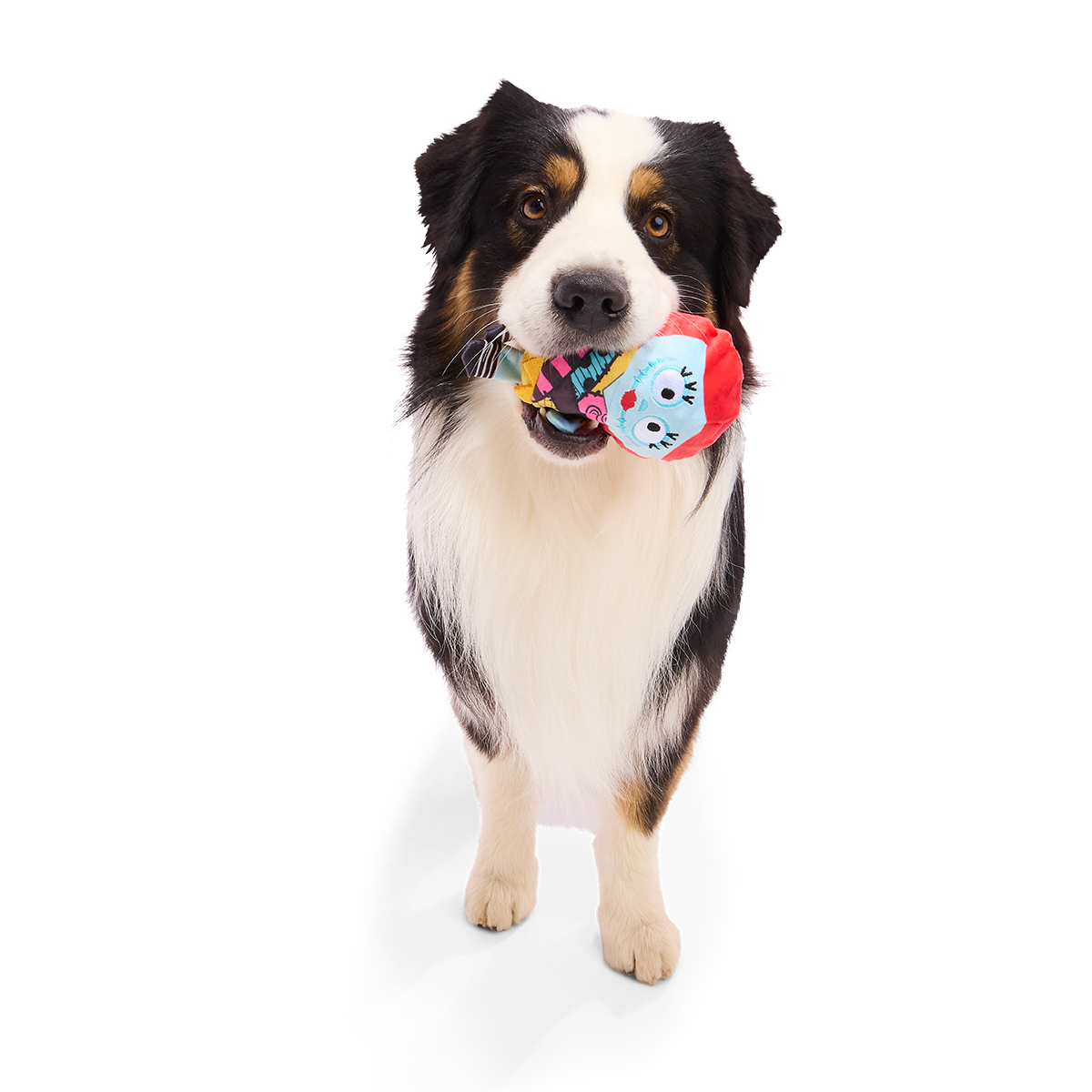 Pawtchwork Sally Super Chewer Durable 2-in-1 + Tug Dog Toy