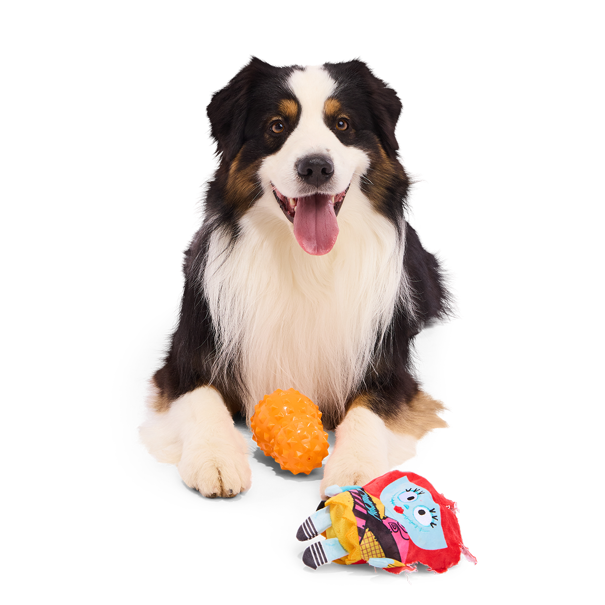 Pawtchwork Sally Super Chewer Durable 2-in-1 + Tug Dog Toy