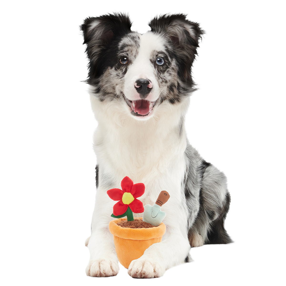 Pawtted Plant Plush Tug Dog Toy