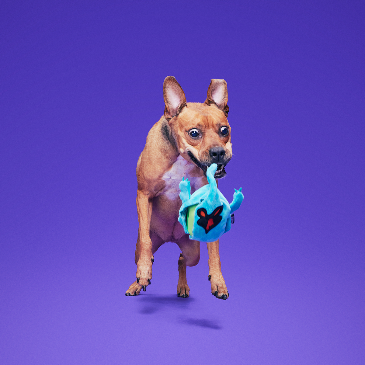 Phantom Shadows™ Super Chewer Durable 2-in-1 + Enrichment Dog Toy