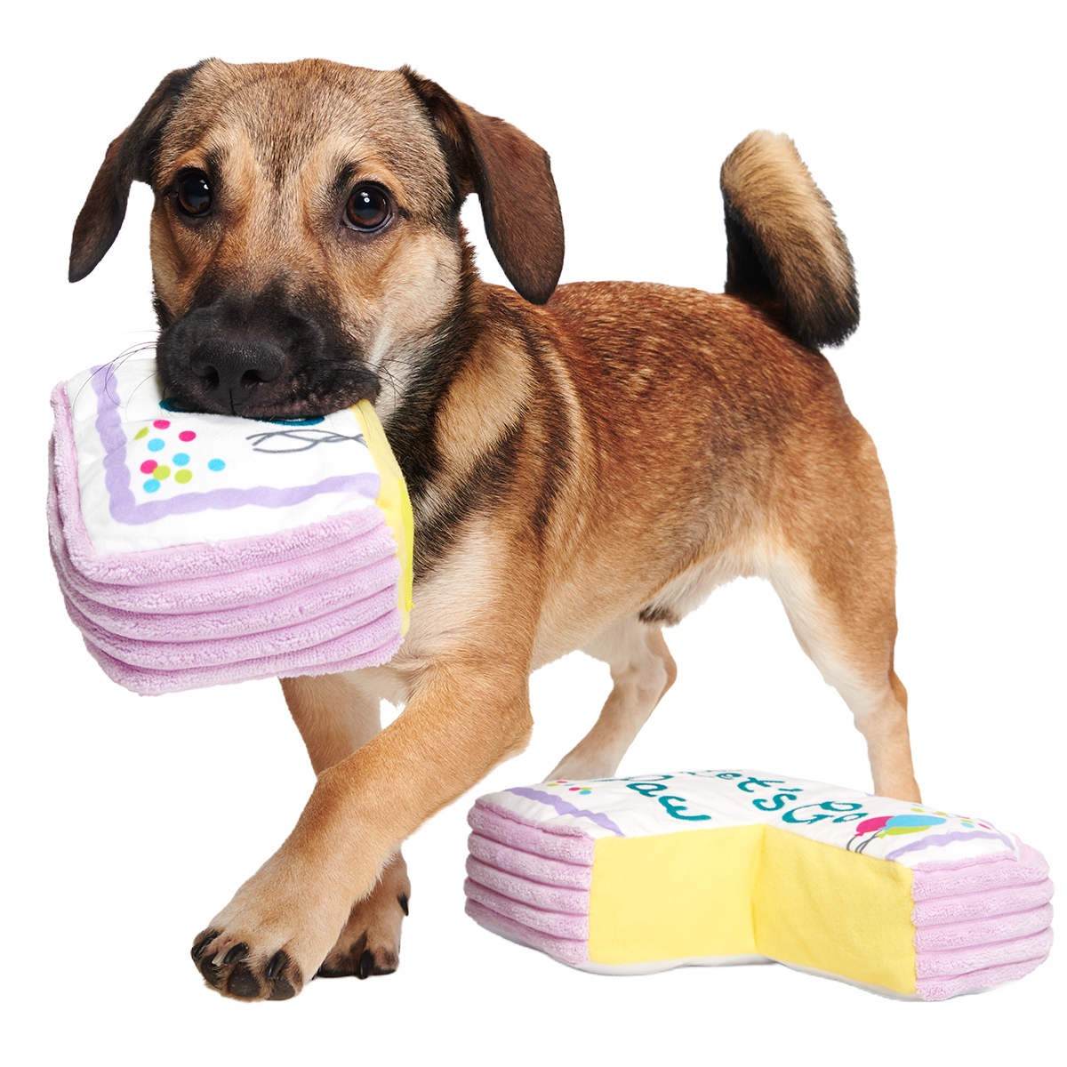 Piece Of Sheet Cake Plush Multi-Part Dog Toy