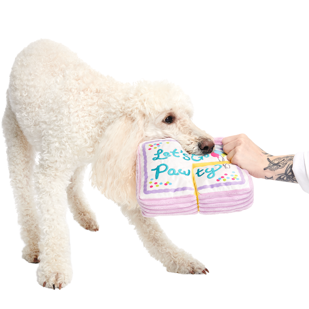 Piece Of Sheet Cake Plush Multi-Part Dog Toy