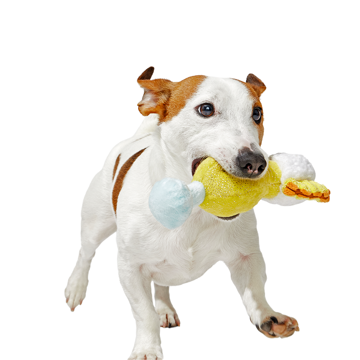 Cocktail Club, Plush Cocktail Monthly Dog Toys