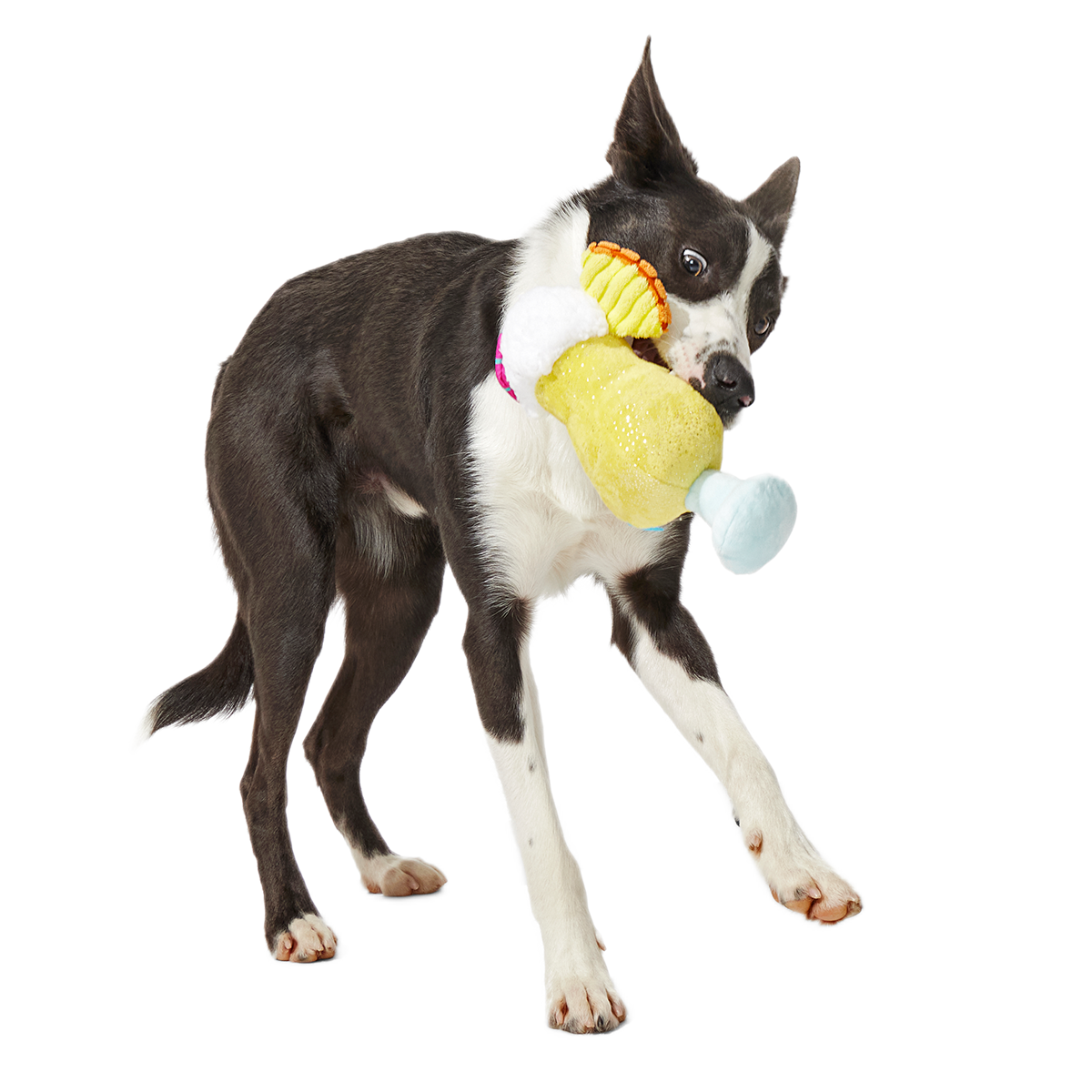 Cocktail Club, Plush Cocktail Monthly Dog Toys