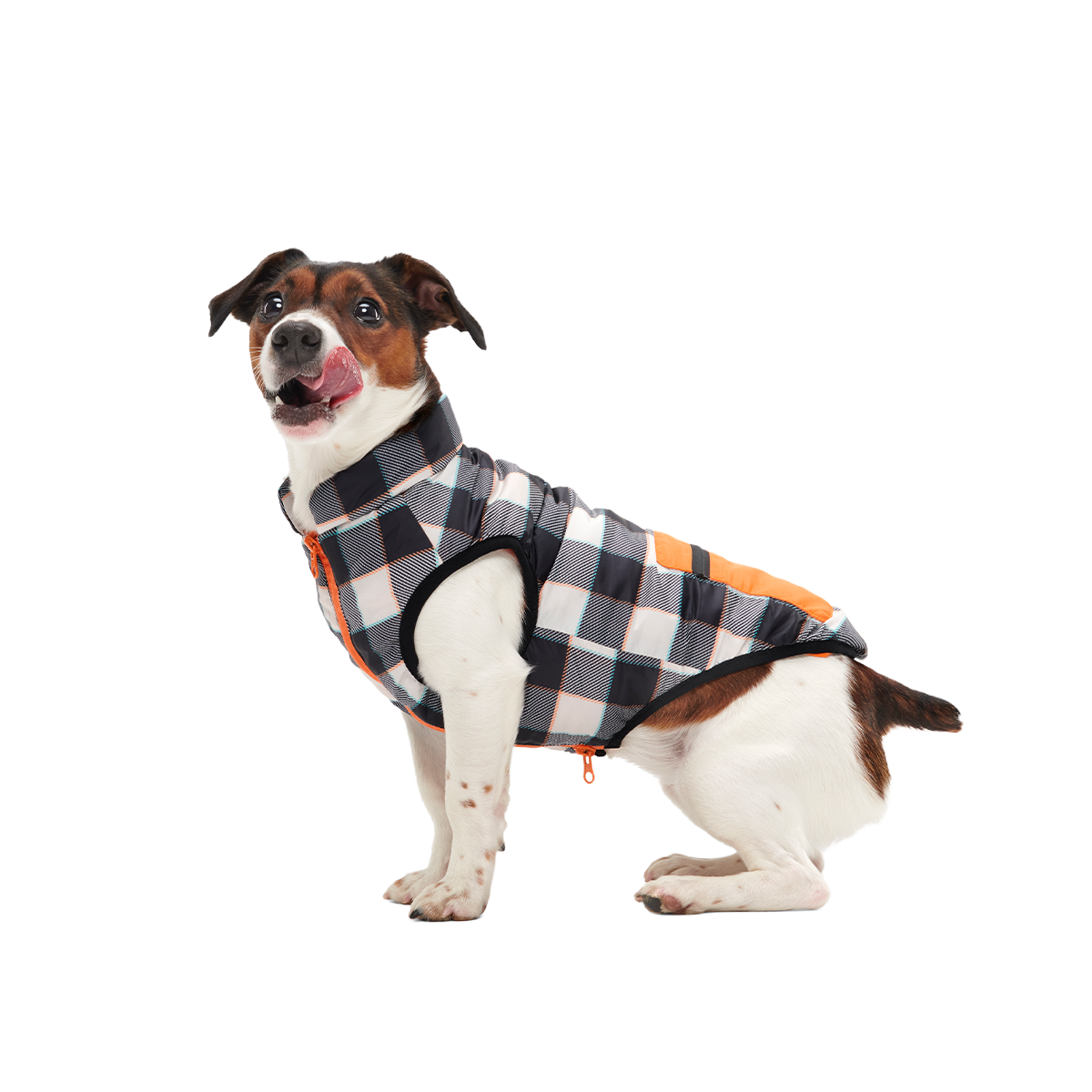 Plaid To The Bone Dog Puffer Vest#Color_Black & White#Size_S