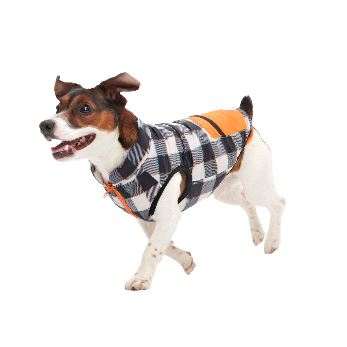 Plaid To The Bone Dog Puffer Vest#Color_Black & White#Size_S