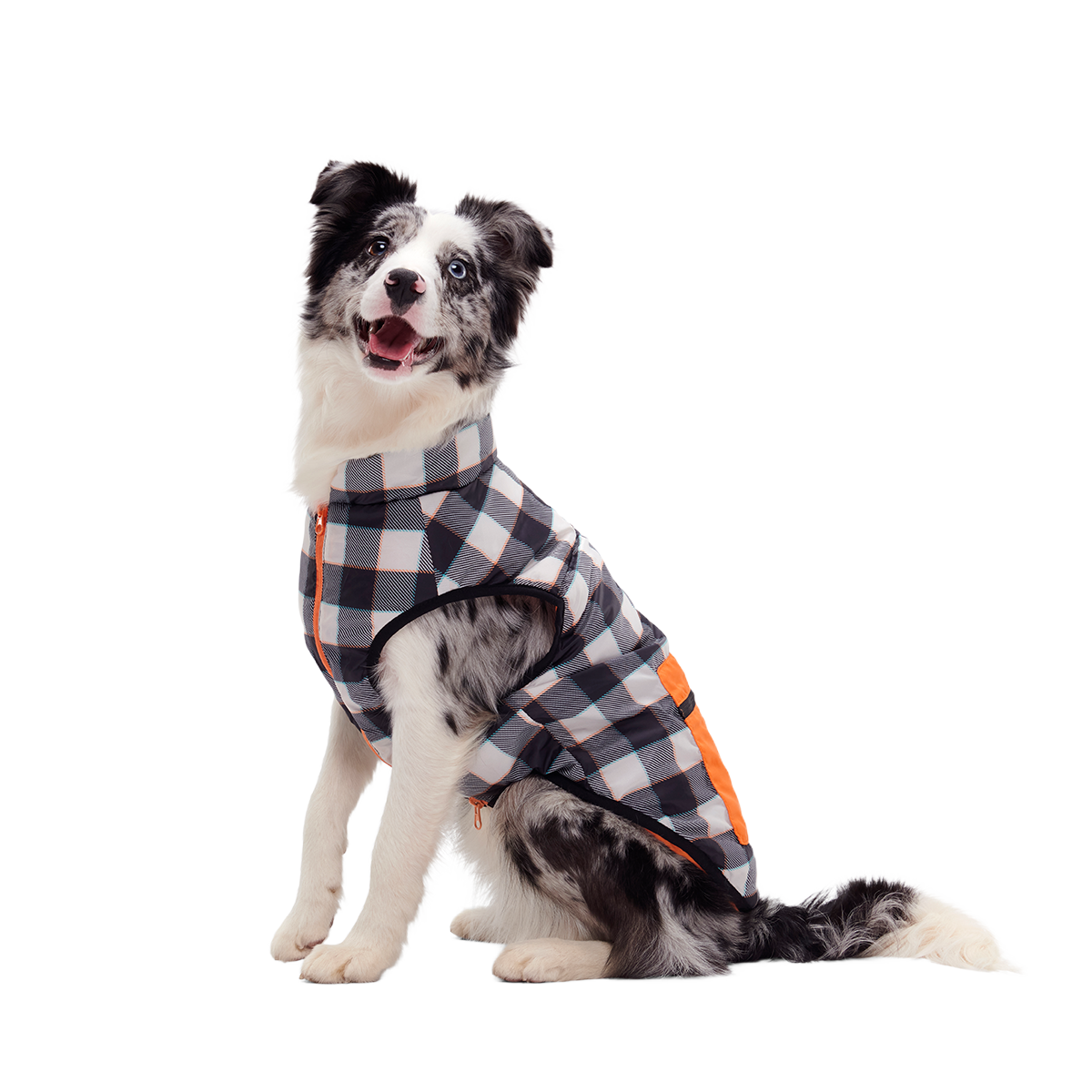Plaid To The Bone Dog Puffer Vest#Color_Black & White#Size_M