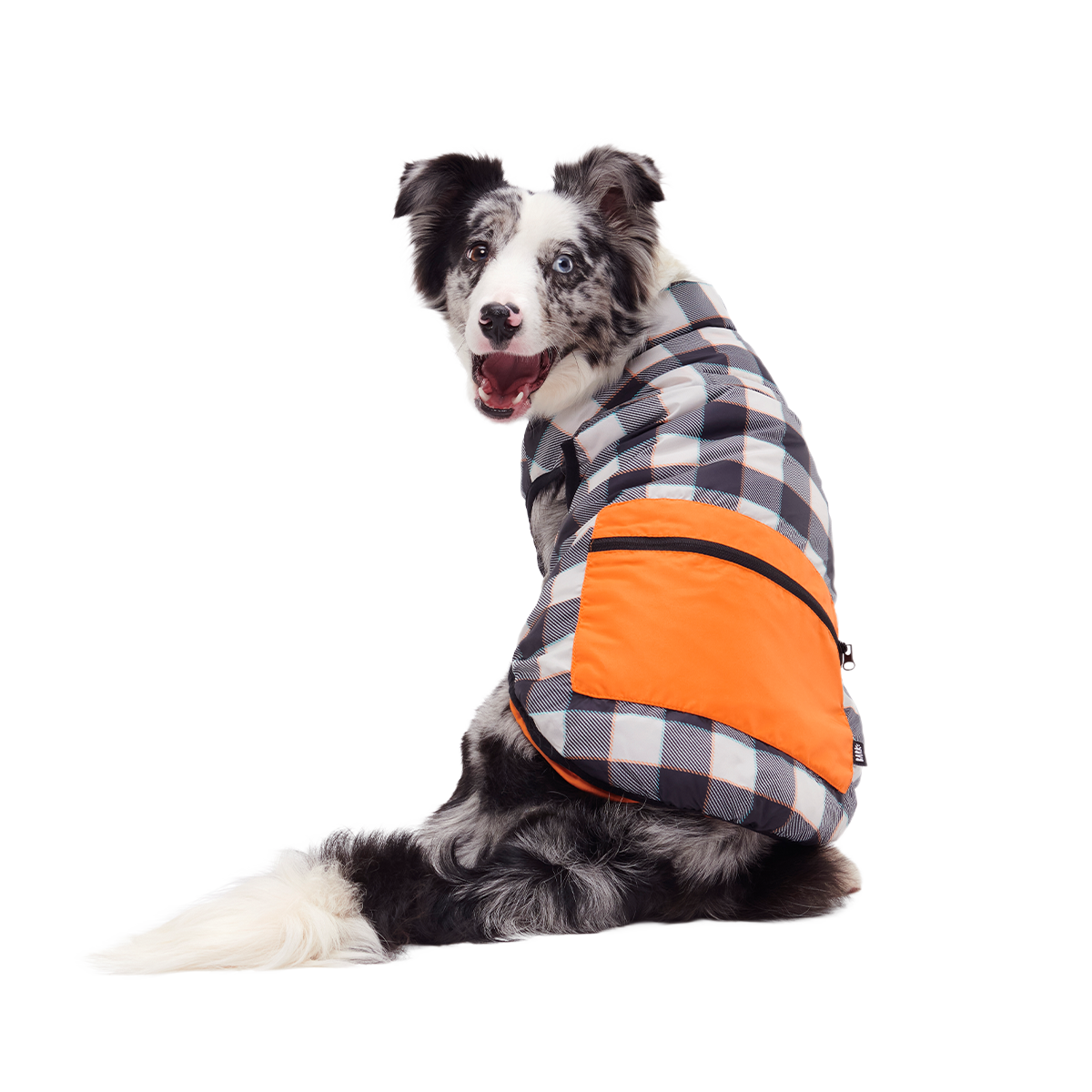 Plaid To The Bone Dog Puffer Vest#Color_Black & White#Size_M
