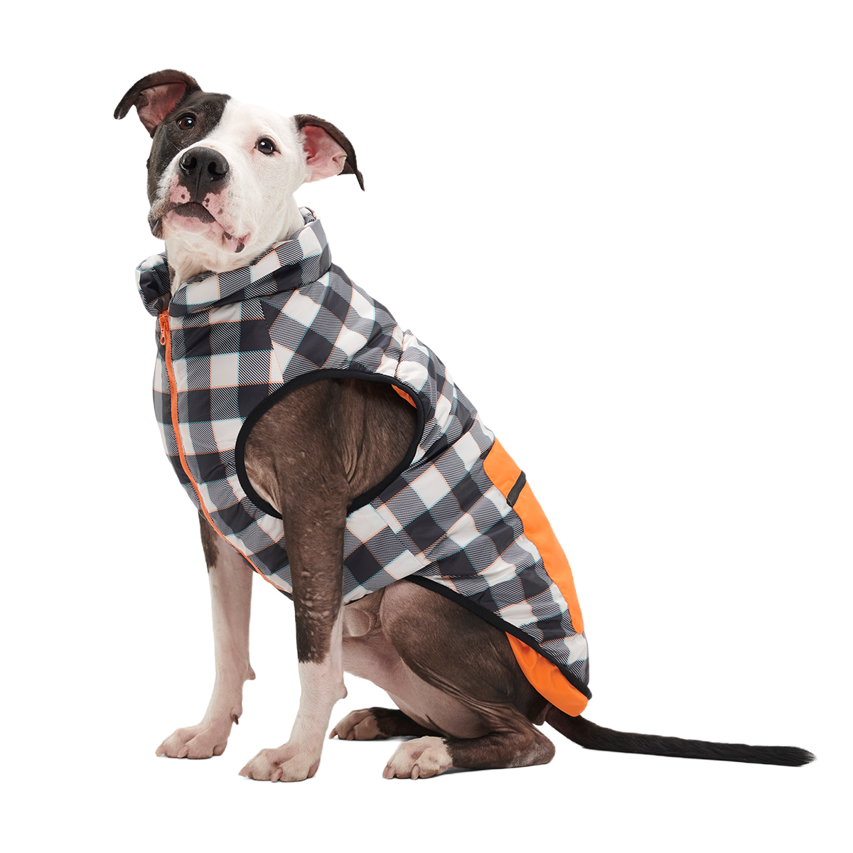 Plaid To The Bone Dog Puffer Vest#Color_Black & White#Size_L