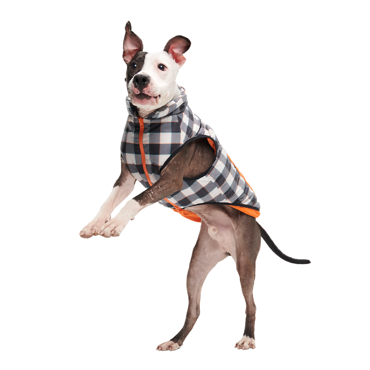 Plaid To The Bone Dog Puffer Vest#Color_Black & White#Size_L