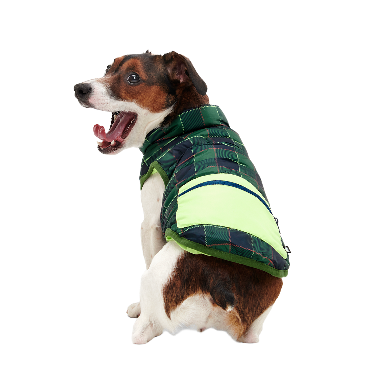 Plaid To The Bone Dog Puffer Vest#Color_Green #Size_S