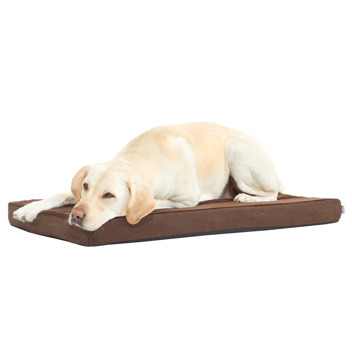 Dog Bed