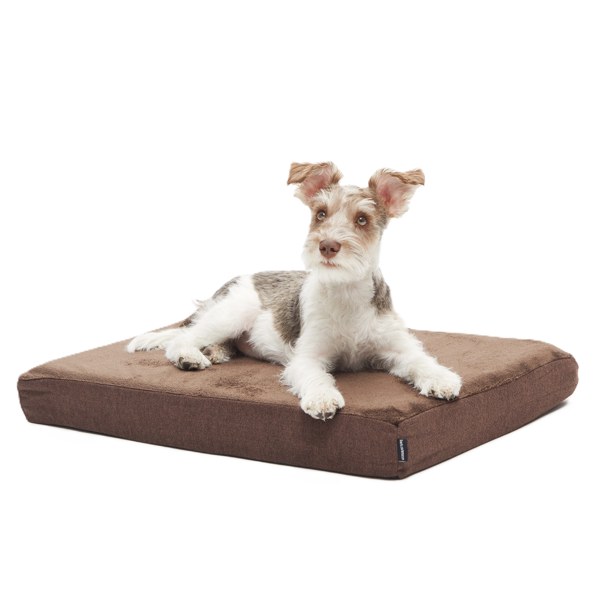 Dog Bed