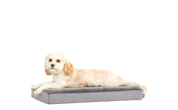 Dog Bed