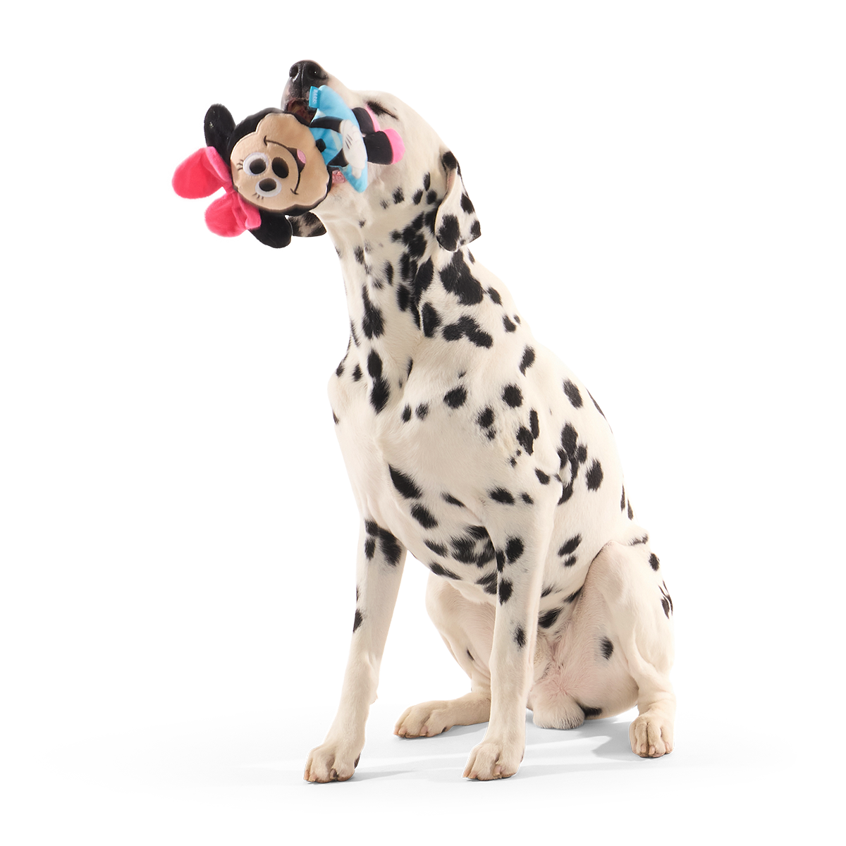 Playtime Pal Minnie Plush Tug + Fetch Dog Toy