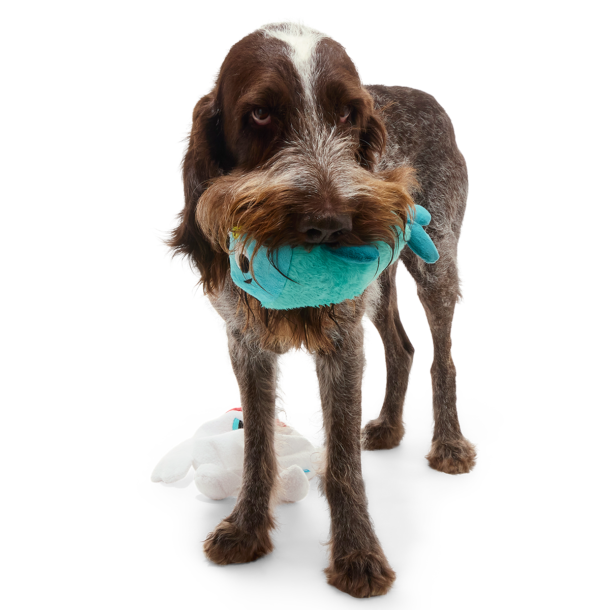 Polar Bear Vortex Plush Extra-Large + 2-in-1 Dog Toy