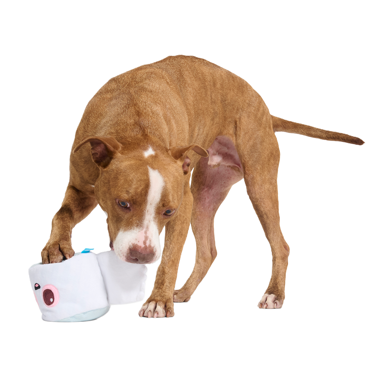 Pottymouth Pete Plush 2-in-1 + Tug Dog Toy