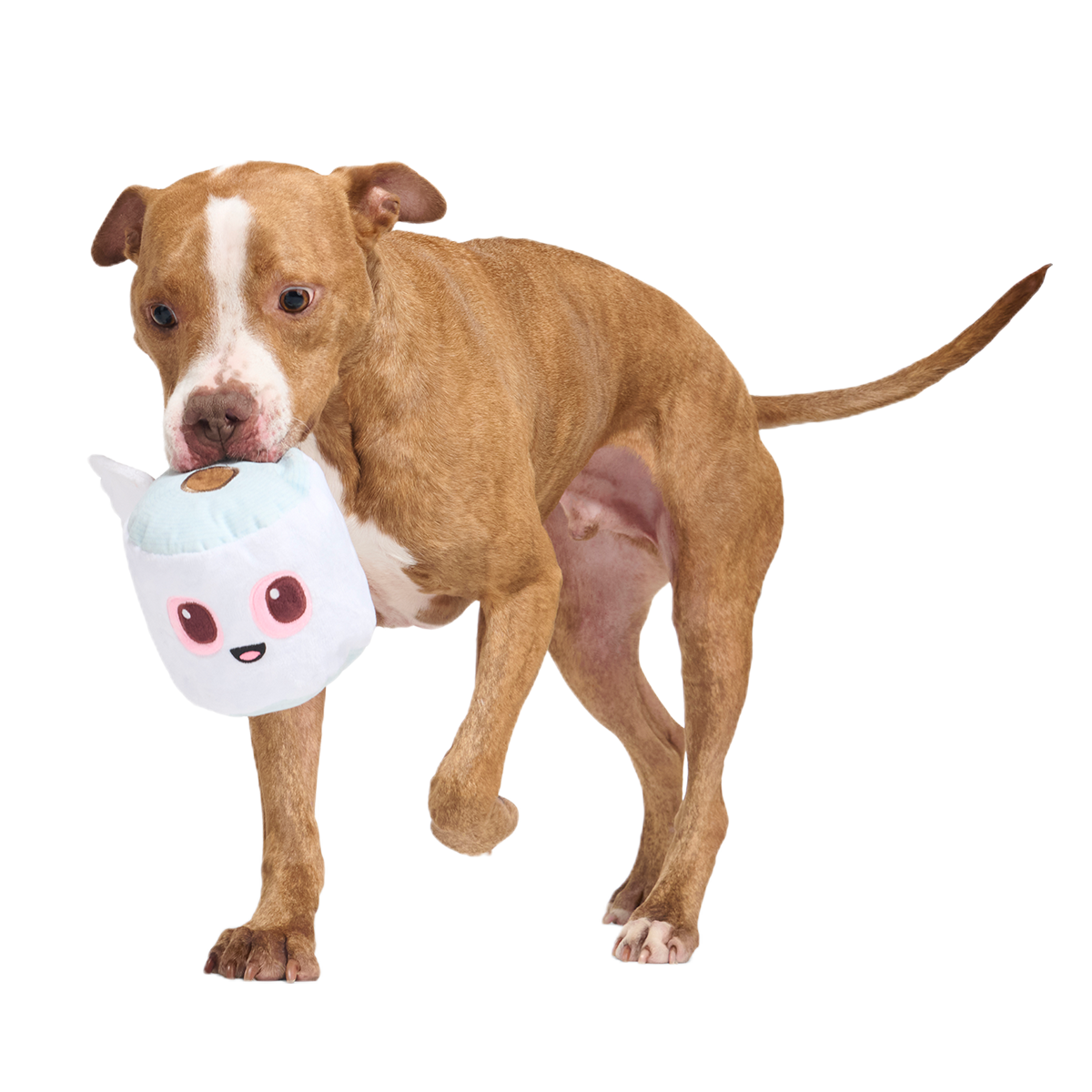 Pottymouth Pete Plush 2-in-1 + Tug Dog Toy