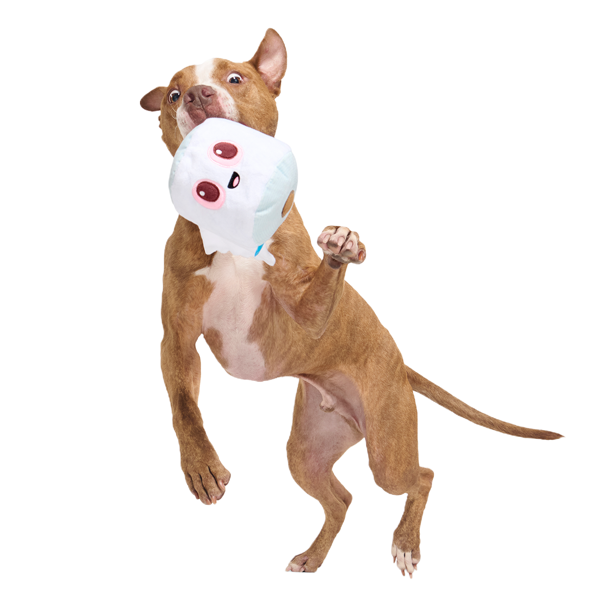 Pottymouth Pete Plush 2-in-1 + Tug Dog Toy