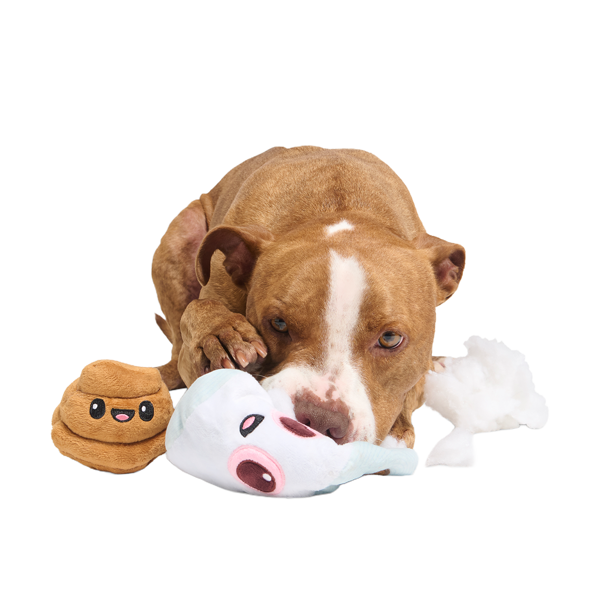 Pottymouth Pete Plush 2-in-1 + Tug Dog Toy