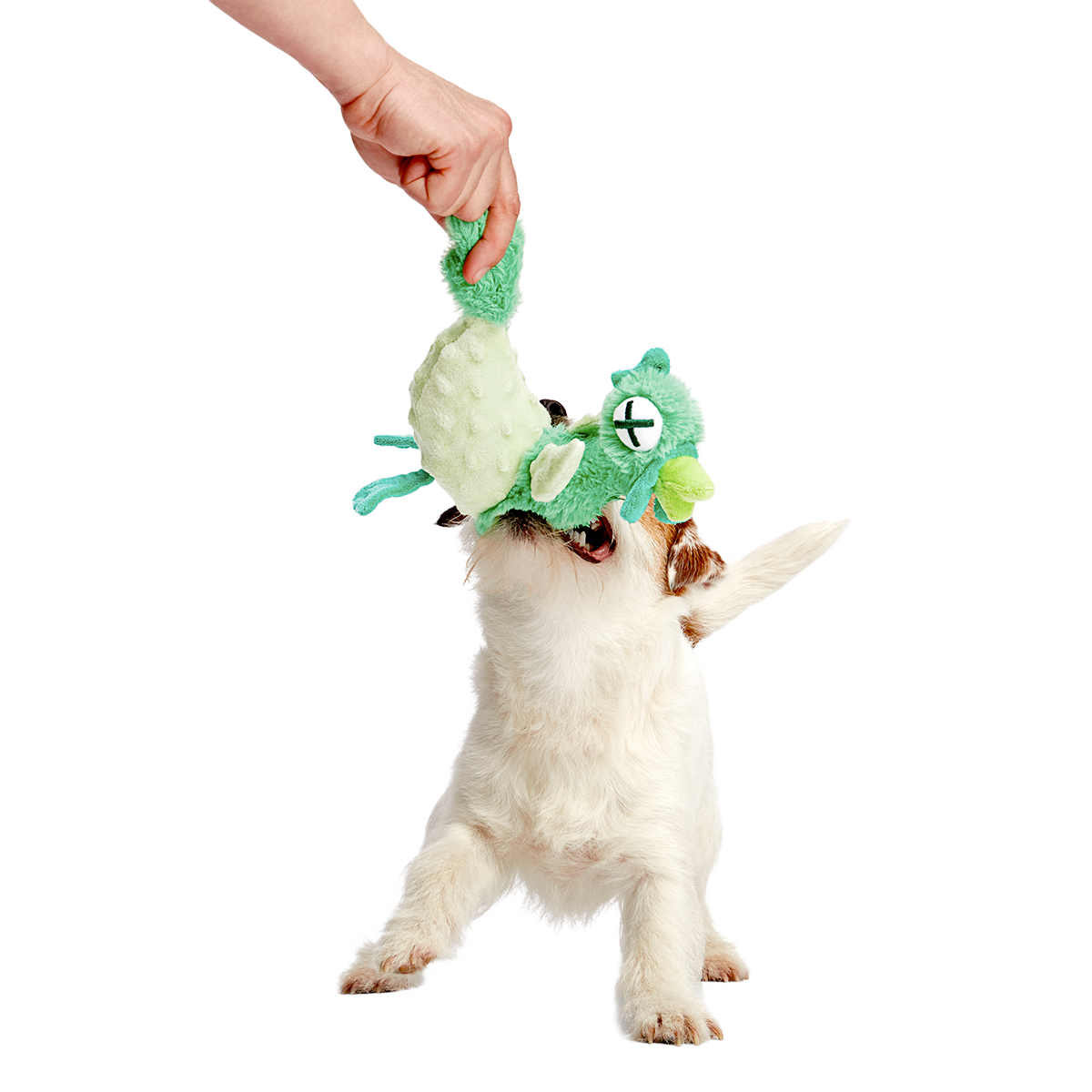 Poultrygeist Plush Tug Dog Toy