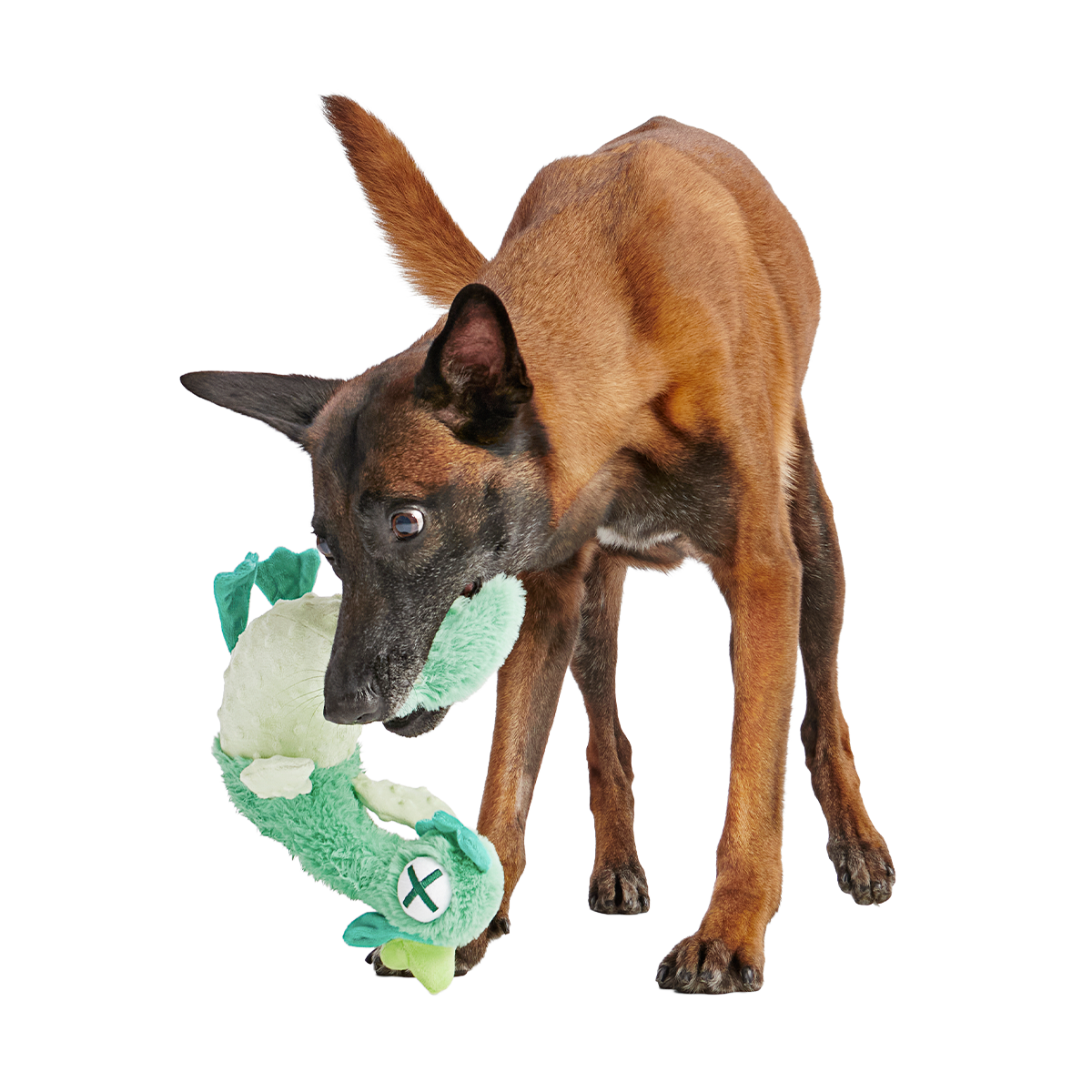 Poultrygeist Plush Tug Dog Toy