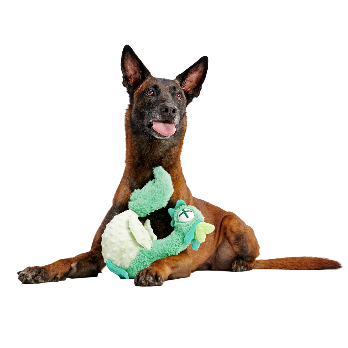 Poultrygeist Plush Tug Dog Toy