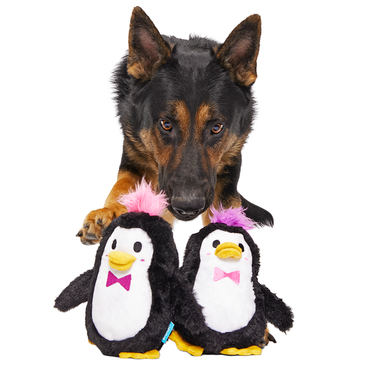 Pride March of the Penguins Plush Multi-Part Dog Toy