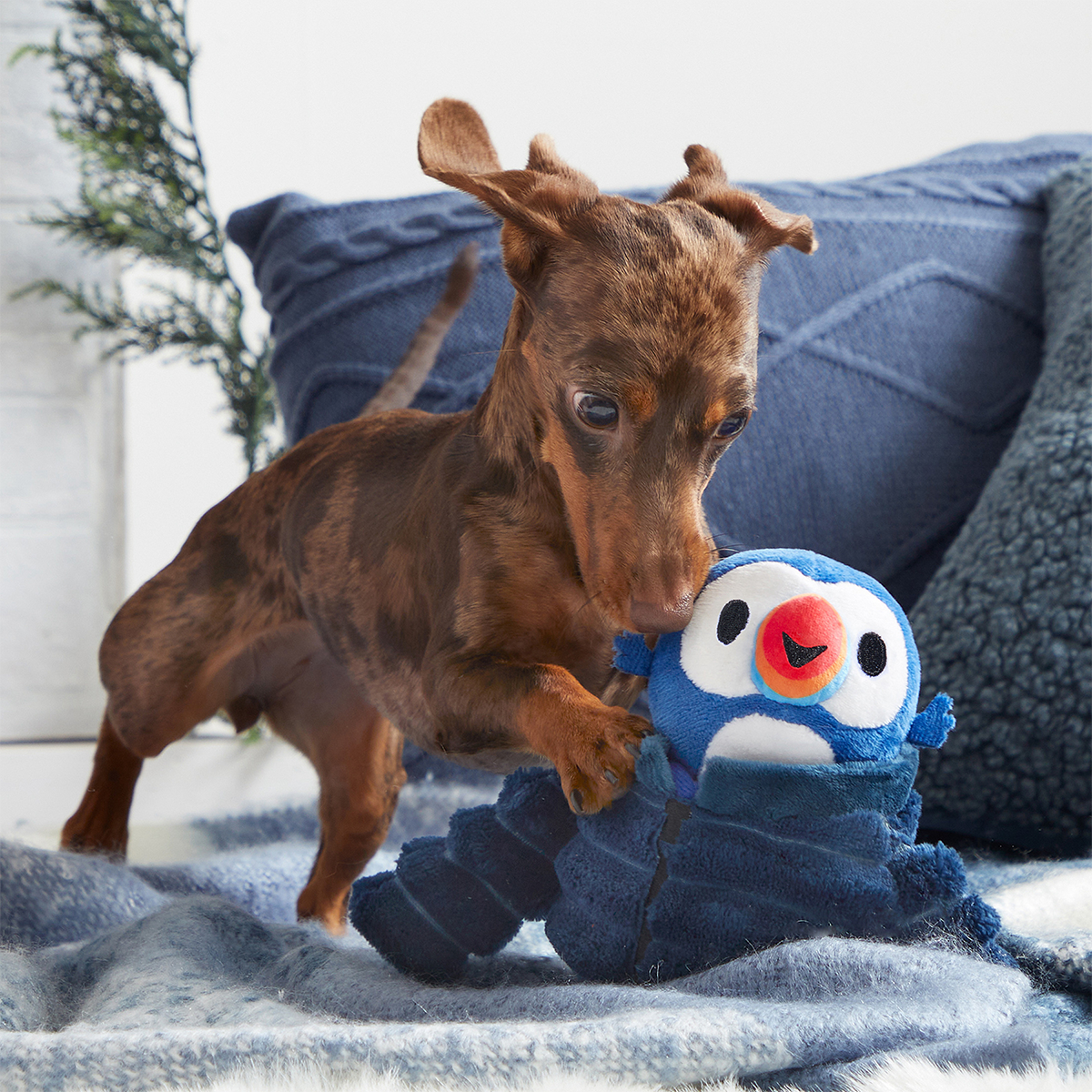 Puffer Puffin Plush Multi-Part + Enrichment Dog Toy