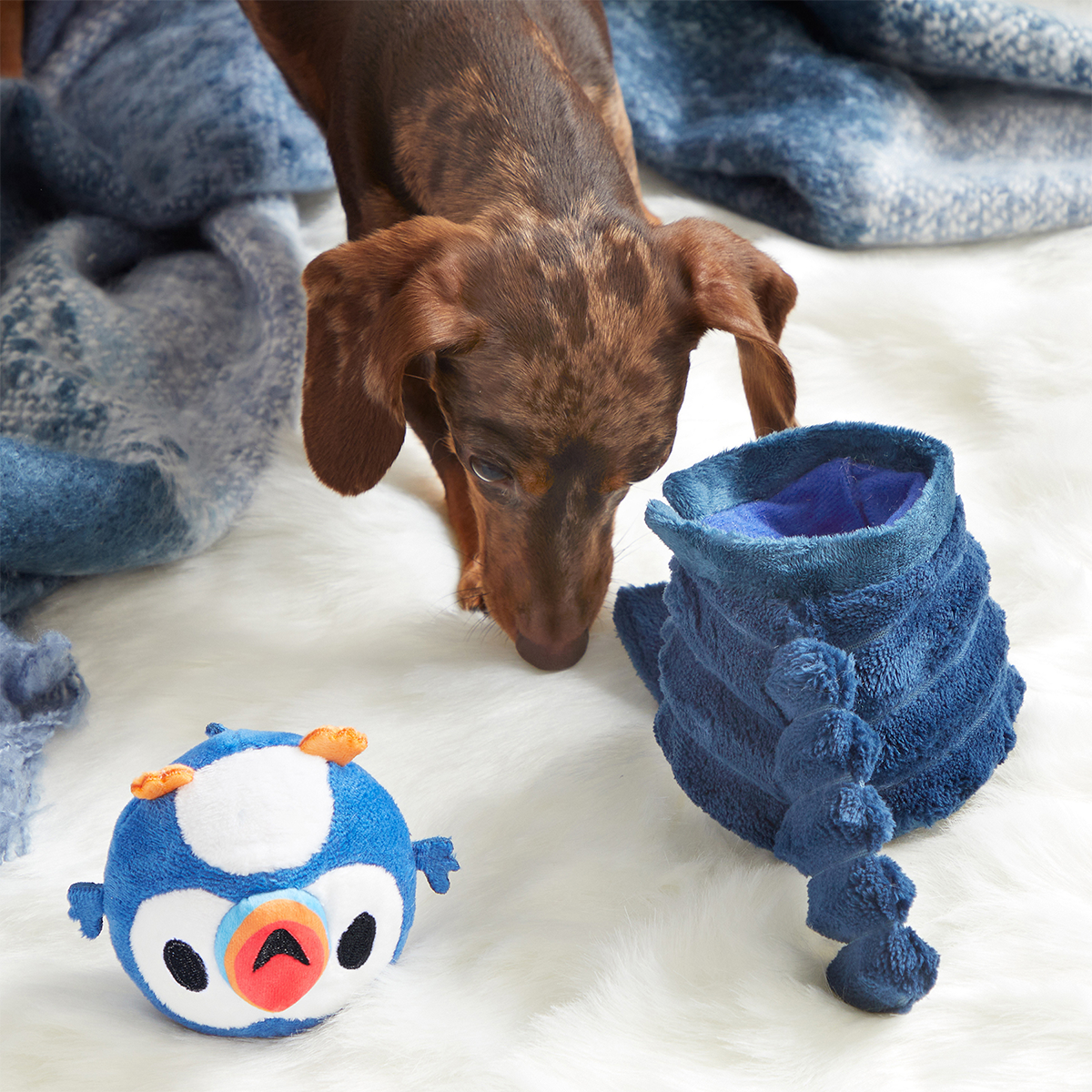 Puffer Puffin Plush Multi-Part + Enrichment Dog Toy