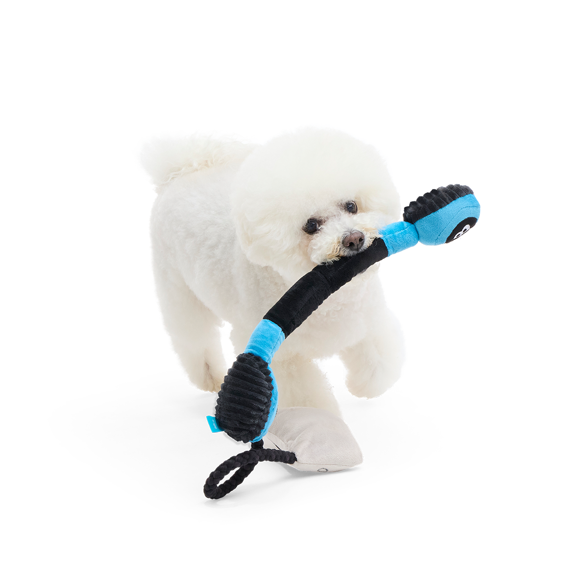 Pup-Up Playlist Plush Tug Dog Toy