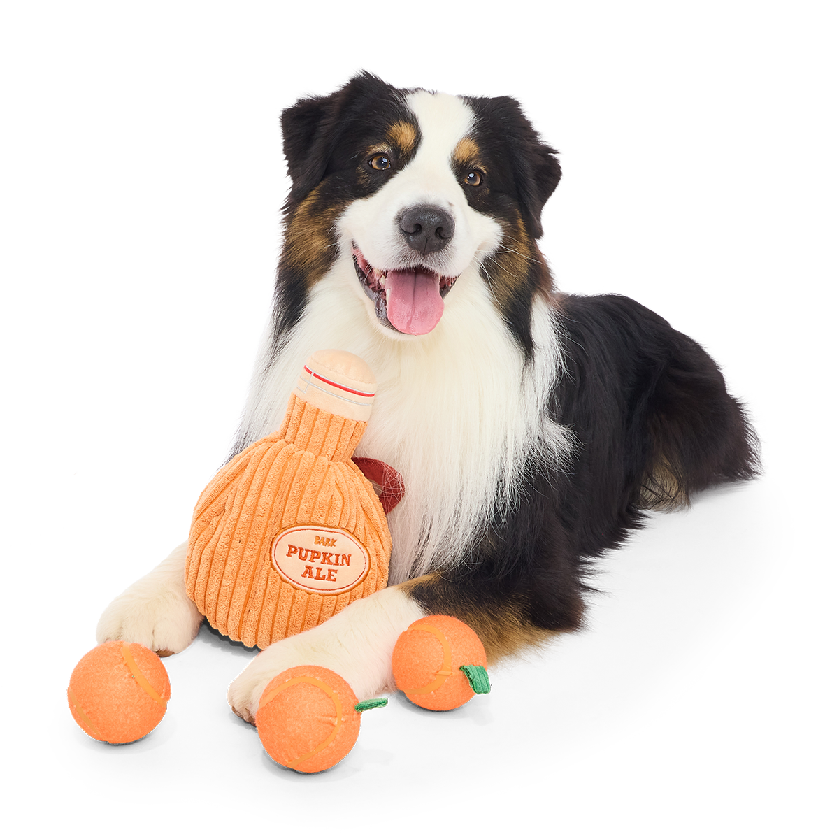 Pupkin Ale Growler Plush Multi-Part + Fetch + Enrichment Dog Toy