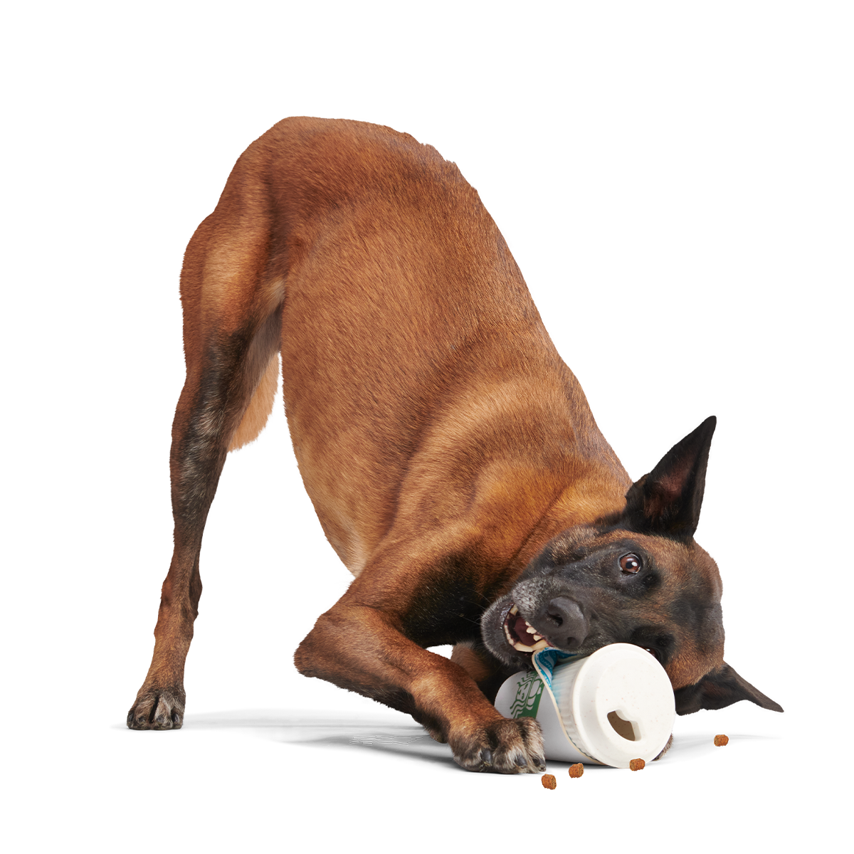 Pupkin Spice Yappuccino Super Chewer Durable 2-in-1 + Enrichment Dog Toy
