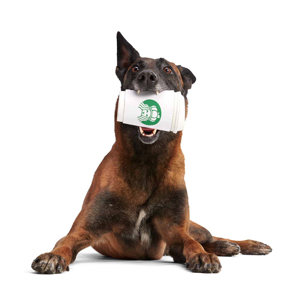 Pupkin Spice Yappuccino Super Chewer Durable 2-in-1 + Enrichment Dog Toy
